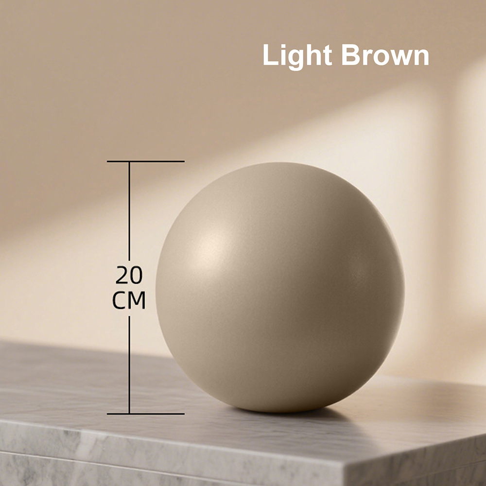 20cm Matte Exercise Ball Barre - огляд і ціна Pilates Yoga Barre